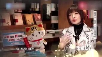 在线观看鲁豫有约,揭秘名人背后的故事与人生智慧  第3张